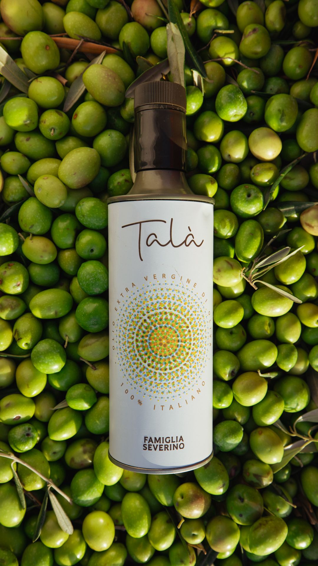 Olio extravergine Talà Sicilia IGP 500ml