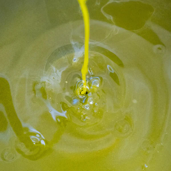 olio d'oliva EVO